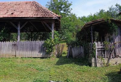 Casa + bucatarie de vara+gradina - 5