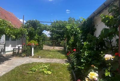 Casă cu 4 camere în Jamu Mare - 5