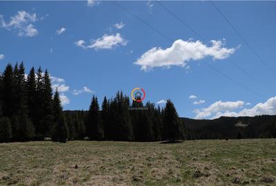 Terenuri speciale Padina Busteni, sunt dispuse ca o veritabi - 4