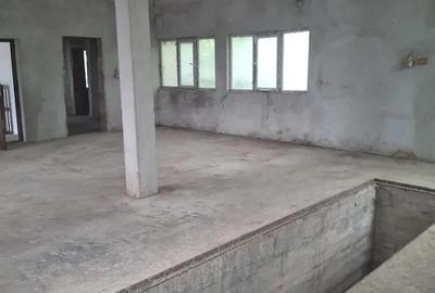 Casă cu 6 camere cu Teren 8000 Mp în Iratoșu - 4