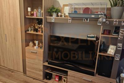 Garsonieră decomandată, mobilată în Inel II - 3