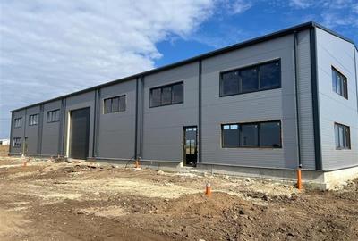 Vanzare Hala Noua Dascalu, plus teren - 3