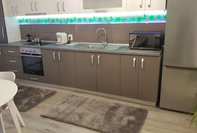Apartament cu 2 camere semidecomandat în Buziașului - 3