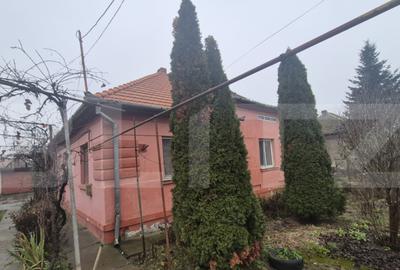 Casa 4 dormitoare, 190 mp, 1306 mp teren, zona Careiului - 32