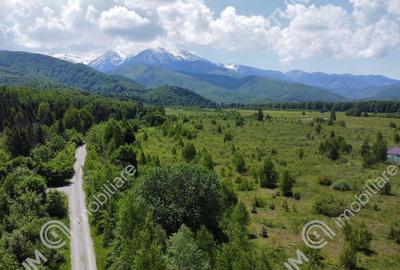 Teren intravilan 1000 mp de pe Valea Avrigului - 1
