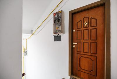 Apartament cu 3 camere decomandat, mobilat în Iosefin - 46