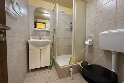 Vila Individuala | 8 Camere | 500mp Teren-Lidl Girocului - 27