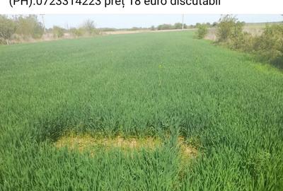 Casă cu 1 camere cu Teren 2200 Mp în Poenari