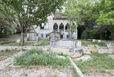 Casă individuală cu 6 camere cu Teren 10000 Mp în Caransebeș - 6
