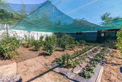 Casa de vanzare cu teren 1500mp Snagov / Padure si lac la cativa pasi - 33