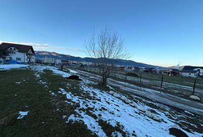 Teren Construcții intravilan de 667 mp, în Zărnești - 4