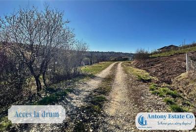 Teren intravilan de - Zona Saldabagiu De Munte, Bihor - 5