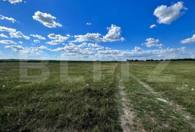 Teren Construcții extravilan de 2800 mp, în Nord-Vest - 4