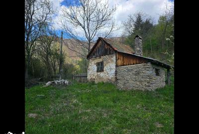 Teren de 3000 mp, în Certeju de Sus - 10