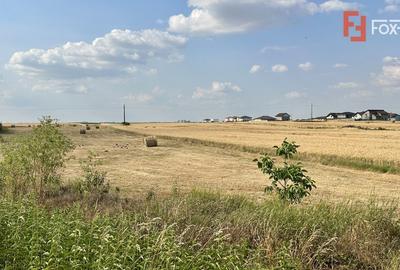 Teren Construcții intravilan de 610 mp, în Sânandrei - 3