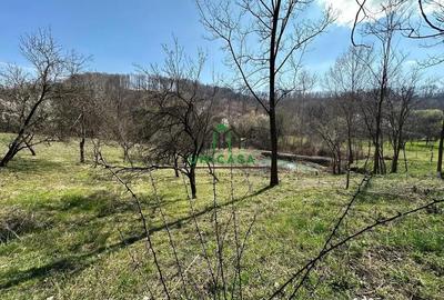 Teren de 8131 mp, în Băile Govora - 3