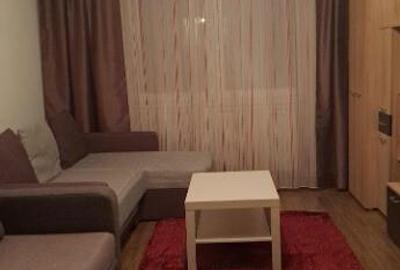 Apartament cu 2 camere in zona Gruia - 2