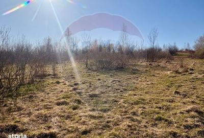 Casă cu 1 camere cu Teren 6000 Mp în Călinești - 3