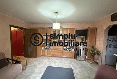 Apartament cu 3 camere semidecomandat în Brazda lui Novac - 10