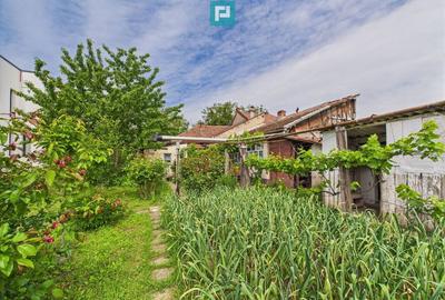 Casă cu 4 camere cu Teren 705 Mp în Lipovei - 15