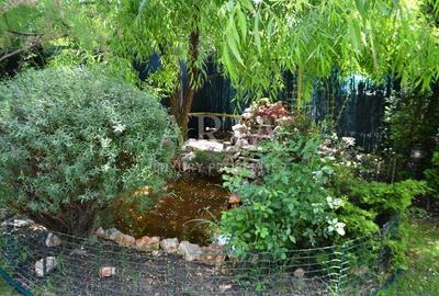 VILLA - PIPERA - PISCINA -CURTE - LANGA PADURE VILLA - PIPERA - PISCINA -CURTE - LANGA PADURE - 10