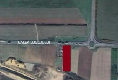 Inchiriez teren 1 ha Calea Lugojului - A1 - 2