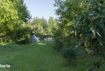 Casă cu 4 camere cu Teren 1294 Mp în Snagov - 8