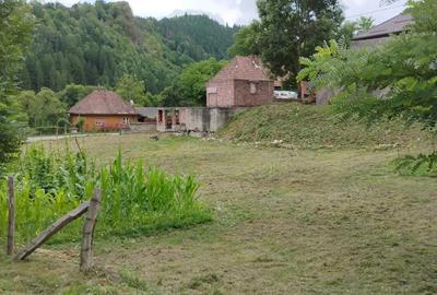 Casă cu Teren 3765 Mp în Mănăstire - 4