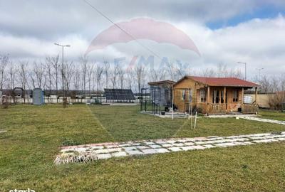 Teren de 1053 mp, în Crevedia - 12