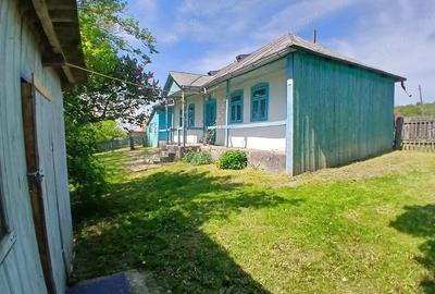 Casă cu Teren 7200 Mp în Central - 5