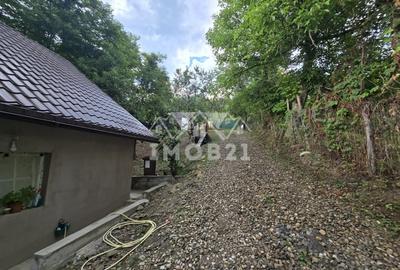 Vanzare Casa cu 3 camere si teren de 4000 mp in Soimari-Prahova - 10