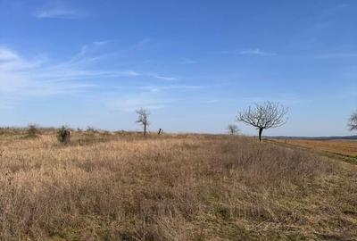 Spațiu comercial, în Cetariu - 3