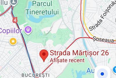 Parc Tineretului (metrou Brancoveanu) Casa - 7