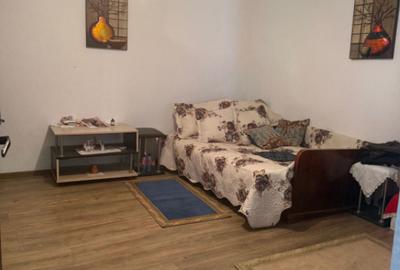 Casă cu 5 camere cu Teren 3279 Mp în Ciutura - 1