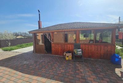 Casă cu Teren 1000 Mp în Grindu - 10