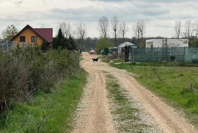 Ciolpani - (spre Izvorani), str. Mihail Manolescu - teren 1500 mp d= 16 m. - 2