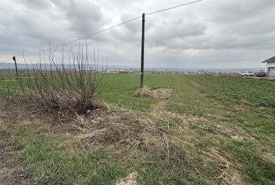 Teren Construcții intravilan de 3255 mp, în Grănicești - 1