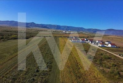 Teren de Vanzare - 18.459 mp cu Potential de Investitie! Cristian- Sibiu - 7