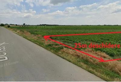 Teren de 5000 mp, în Brezoaele - 1