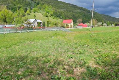 Teren de 2450 mp, în Bulz - 3