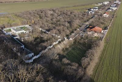 Teren în Afumați - 2