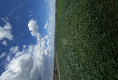 Casă cu 6 camere în Strejești - 3