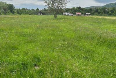 Teren de 8000 mp, în Exterior Vest - 2