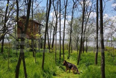 Teren intravilan 2276 mp, 18m deschidere la lacul Geormane - 2