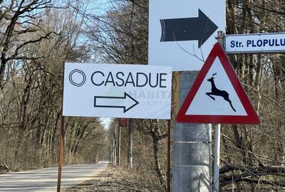 Teren Construcții intravilan de 9400 mp, în Ciolpani - 8