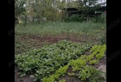 Casă cu 5 camere în Domnești - 4