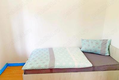 Casă cu 6 camere în Buziașului - 10