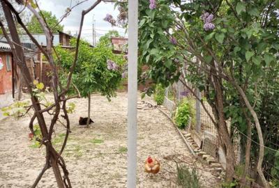 Vand casa curte Braila , zona Pod Brailita - 14