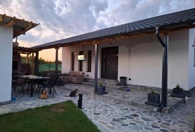 Casă cu 4 camere cu Teren 500 Mp în Trivale - 2