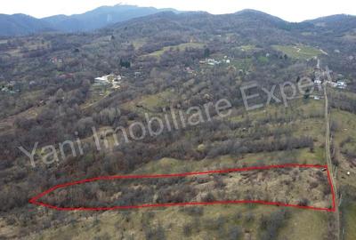 Teren de 14328 mp, în Gruiu (Nucșoara) - 2